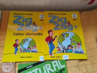 Lote Libros texto 6 primaria GSD