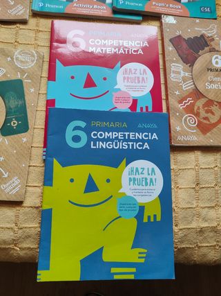 Lote Libros texto 6 primaria GSD
