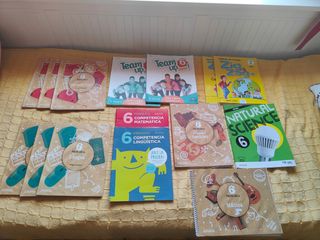 Lote Libros texto 6 primaria GSD