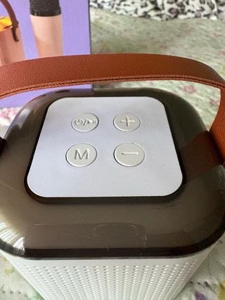 Altavoces Karaoke inalámbricos