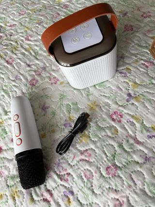 Altavoces Karaoke inalámbricos