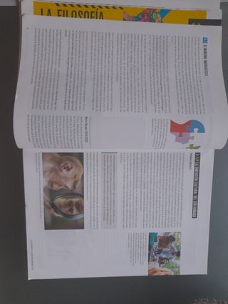 Proyecto: FanFest - Filosofía 1 Bachillerato