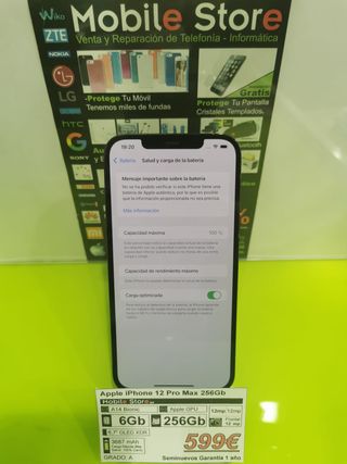 iPhone 12 Pro Max 256Gb - Gris Espacial