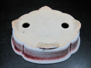 Maceta Bonsái Shibakatsu