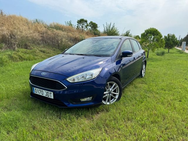 Ford Focus 2015 169km
