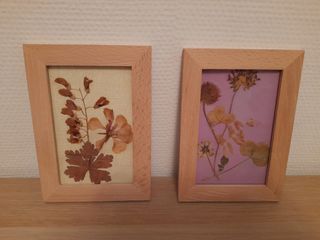 2 Cuadros Decorativos