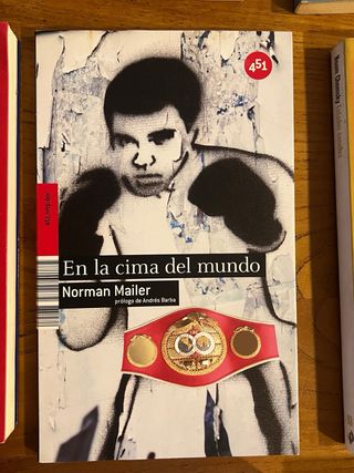 lote de 14 libros de ensayo
