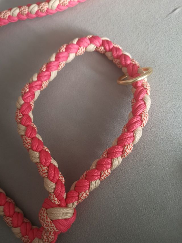 Correa perro - Rosa y Beige