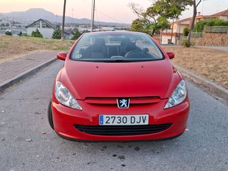 Peugeot 307 2.0 GASOLINA DESCAPOTABLE