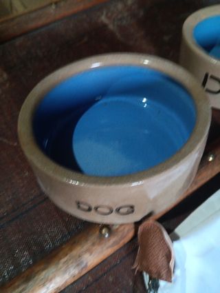 Mangiatoie per cani - 2 ciotole in ceramica