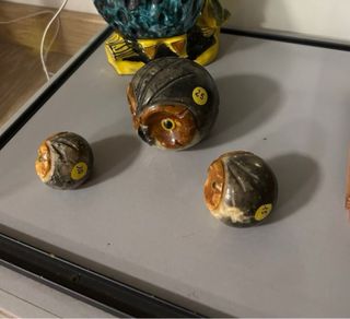 Civette portafortuna