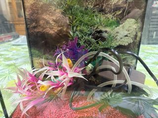 Acuario pequeño negro Aquatlantis