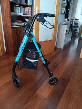 Carrito de paseo 
