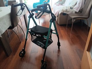 Carrito de paseo 