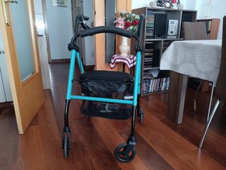 Carrito de paseo 