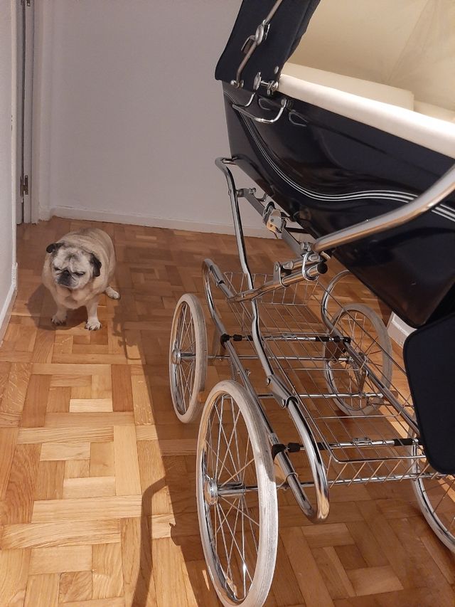 Cochecito Silver Cross Pamplona