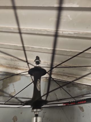 Rueda Carretera delantera