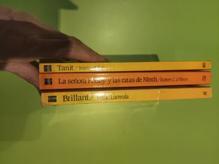 La señora Frisby y las ratas deNimh-Tanit-Brillant