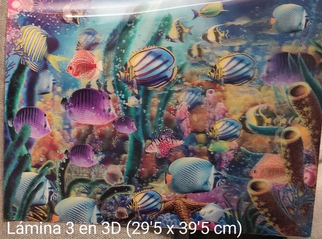 Láminas 3D océano: 5 láminas