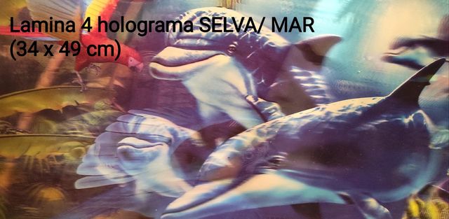 Láminas 3D océano: 5 láminas
