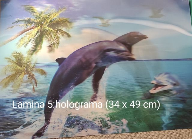 Láminas 3D océano: 5 láminas