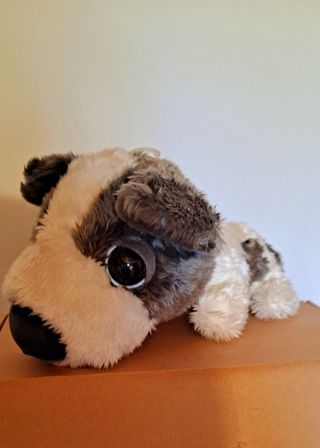 Perro Peluche Gris Blanco