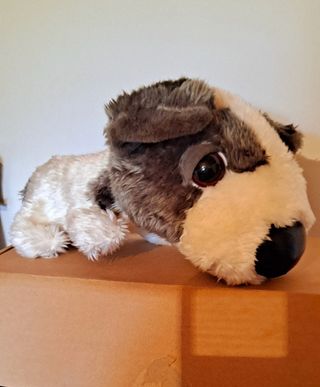 Perro Peluche Gris Blanco