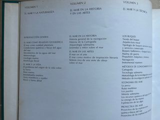 Albatroz enciclopedia del Mar