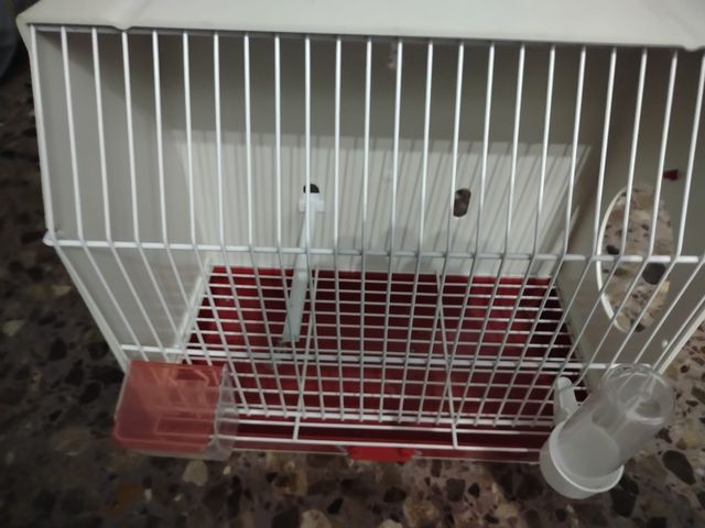 Jaula pájaros - roja y blanca