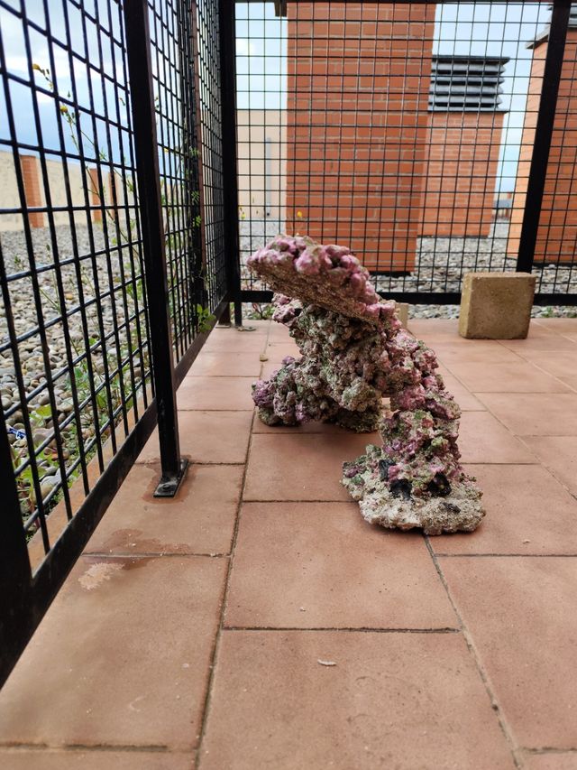 Roca acuario marino decoración