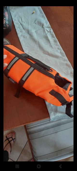 Pettorina Flamingo Arancione