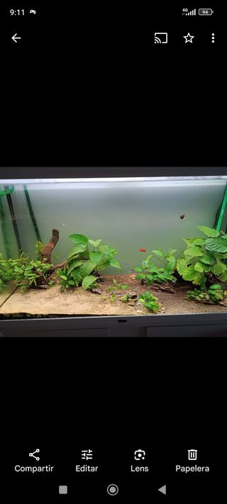 Acuario 200L - pecera grande blanca