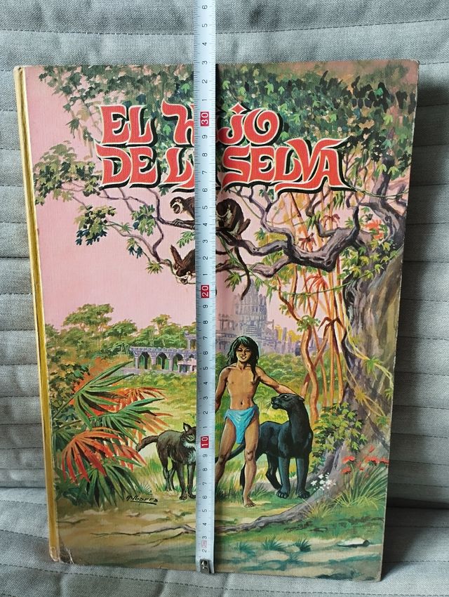 Libro El Hijo de la Seva antiguo