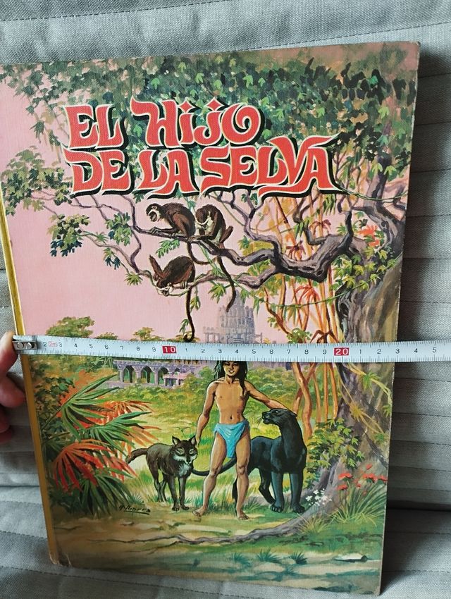 Libro El Hijo de la Seva antiguo