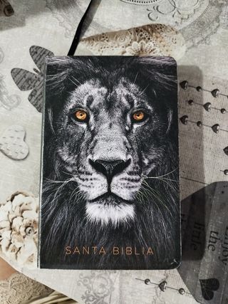 Biblia RVR 1960 letra grande tamaño manual, sím...
