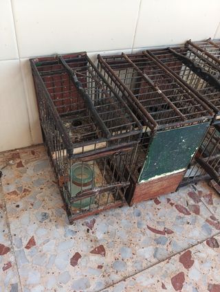 11 jaulas en muy buen estado