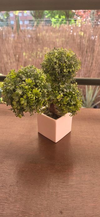 Planta artificial - Bonsái