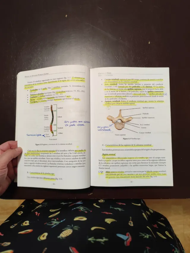 Manual De Anatomía Humana General