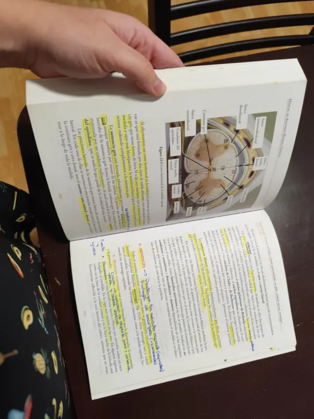 Manual De Anatomía Humana General