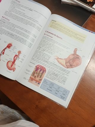 anatomía aplicado
