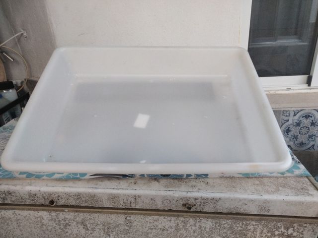 Bandeja plástica industrial grande