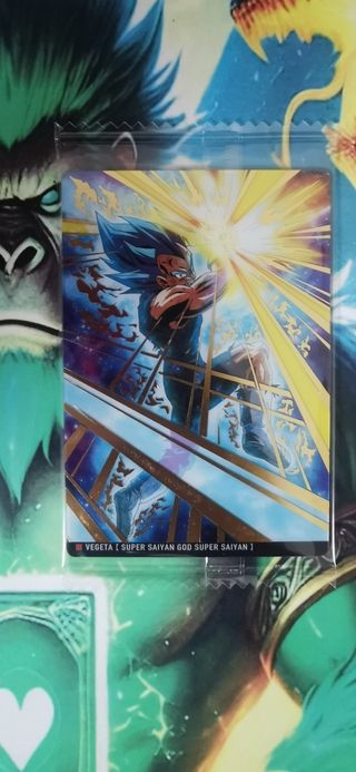 Dragon Ball Itajaga SR