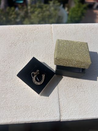 Colgante herradura plata/oro