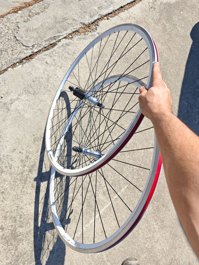 Ruedas carretera Alexrims Race 24