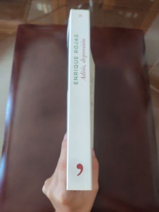 Adiós, depresión (Spanish Edition)