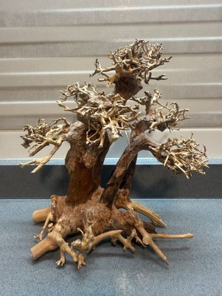 Bonsái de madera decorativa