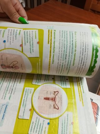 Ciencias de la Naturaleza 5.