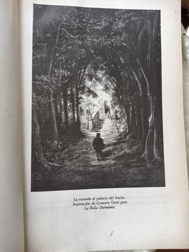 CUENTOS DE HADAS  Alegorías de los Mundos Internos