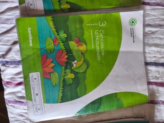 Libros de 3 primaria ( Santillana)