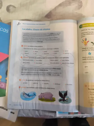 Libros de 3 primaria ( Santillana)